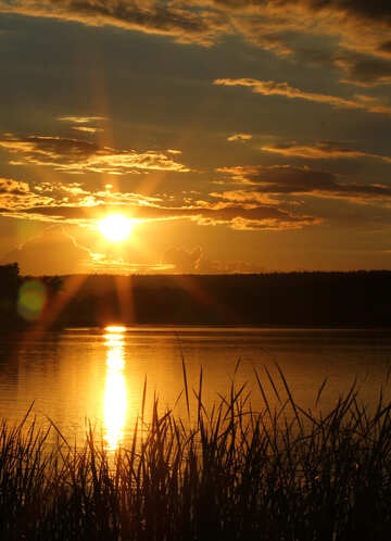 Sonnenuntergang am Fluss №36488