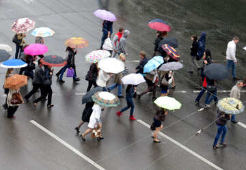 Pedestrians under umbrellas №36188