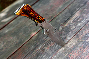 Knife №36204