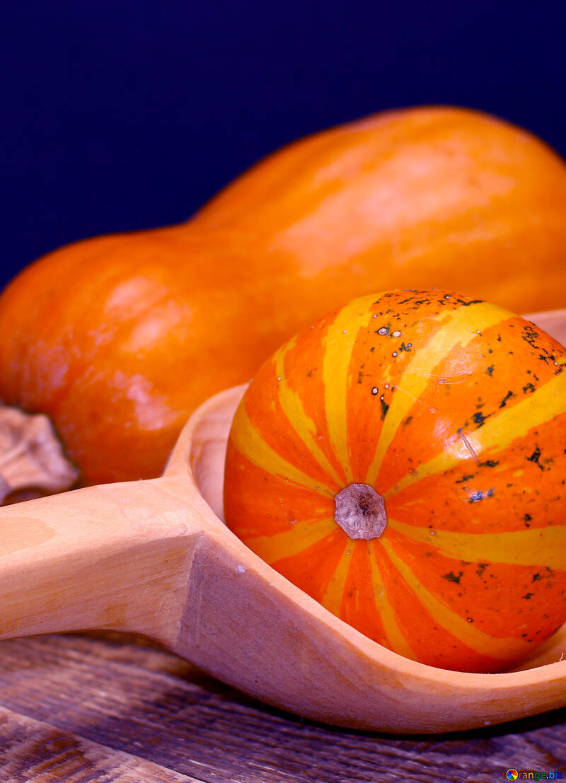 Pumpkin №36012