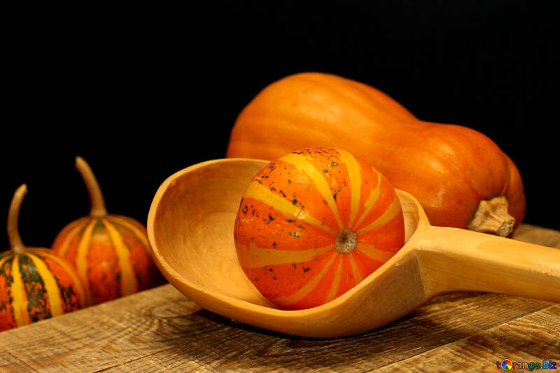 Still life with pumpkins №36013