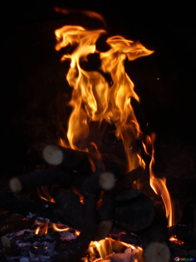 Burning wood in fireplace №36683