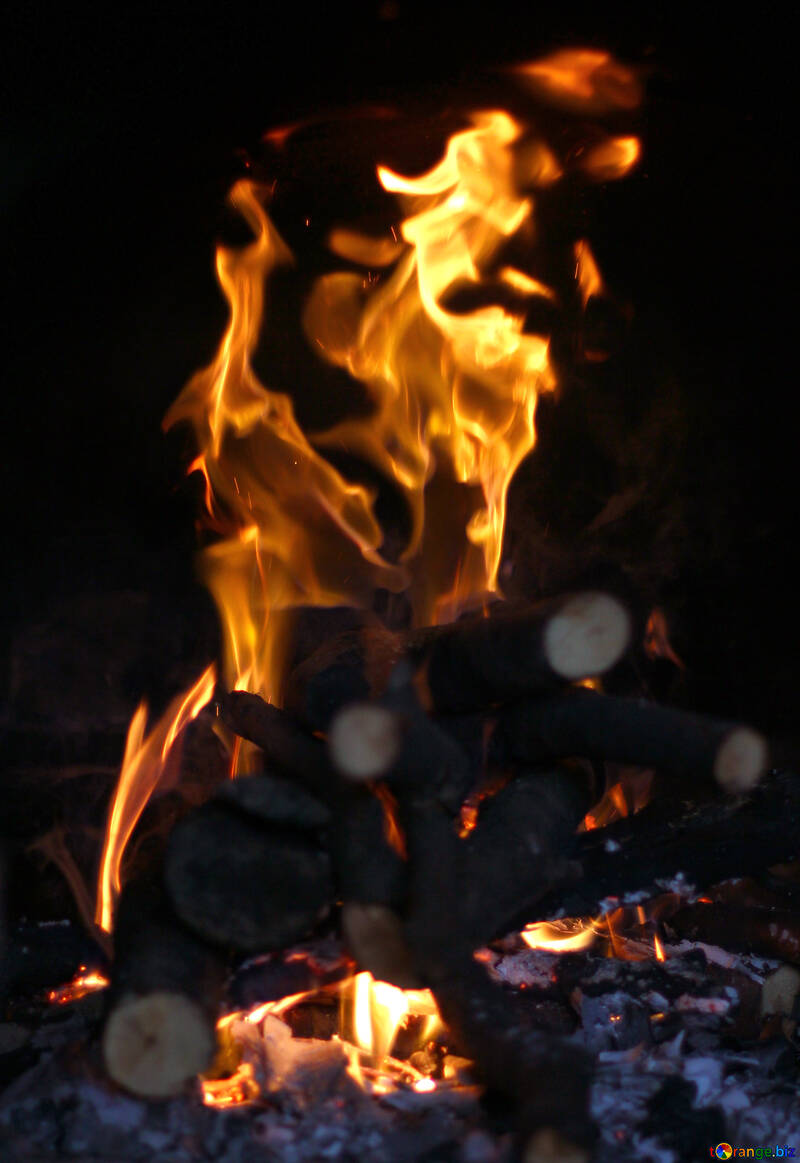 Wood burning furnace №36682
