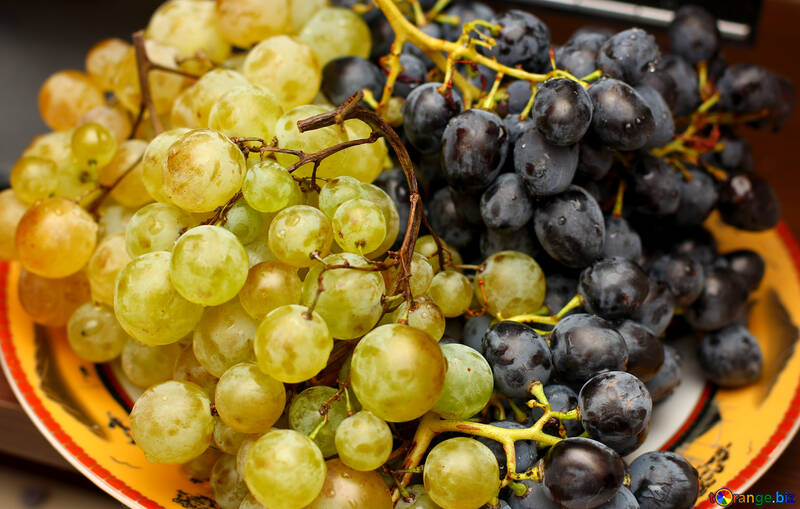 Table grapes №36288