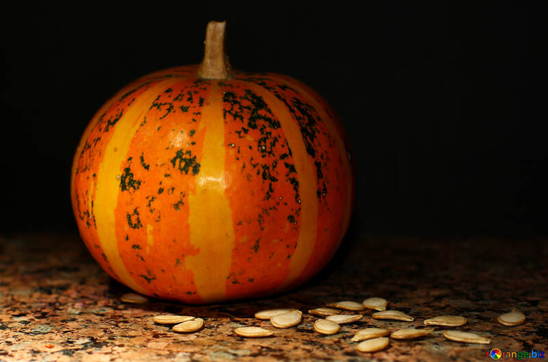 Pumpkin and seeds №36064