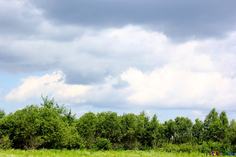 Paisaje de verano №36769