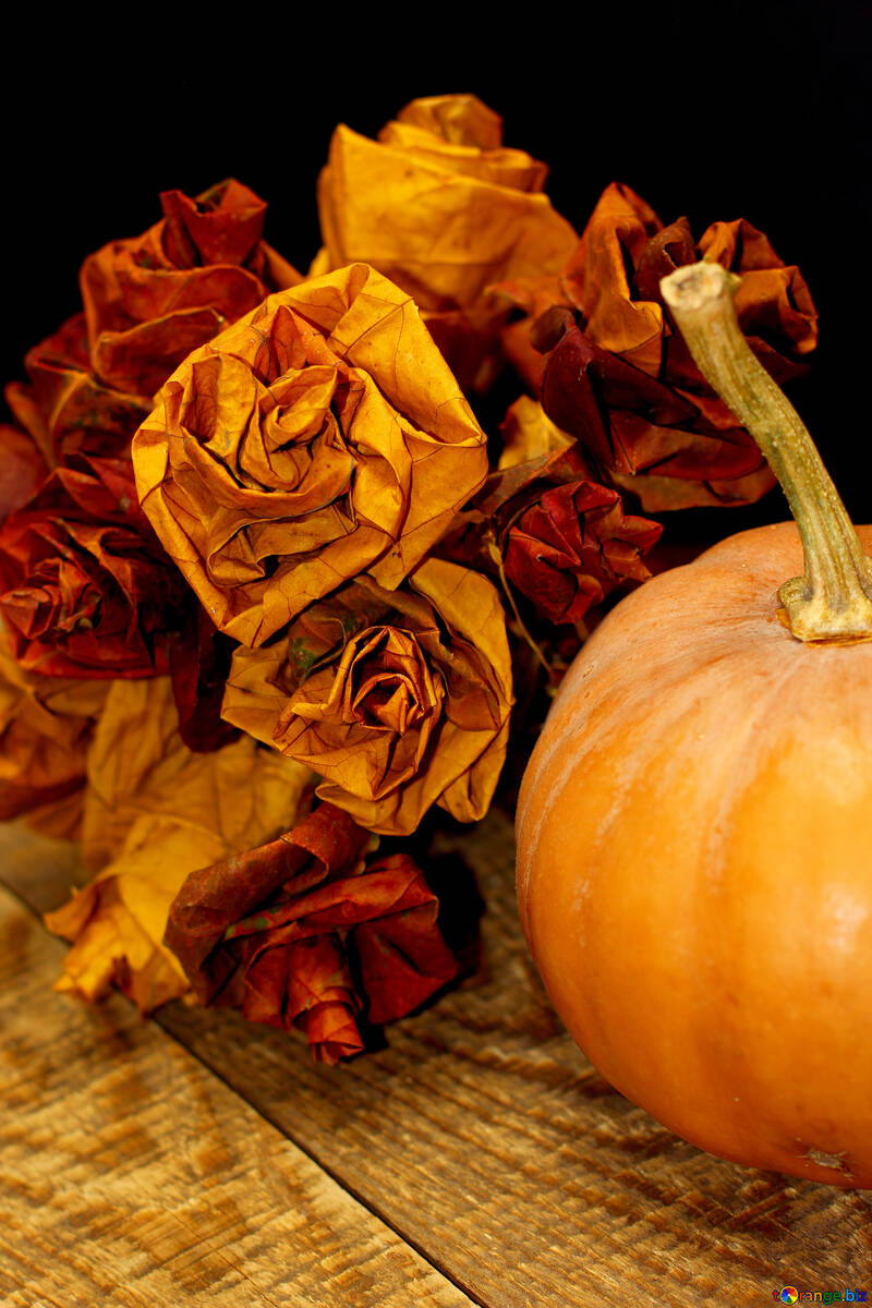 Pumpkin in the fall №36021