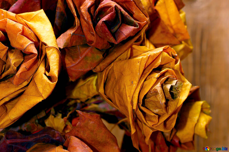 Шпалери на робочий стіл квіти з опалого листя №36035
