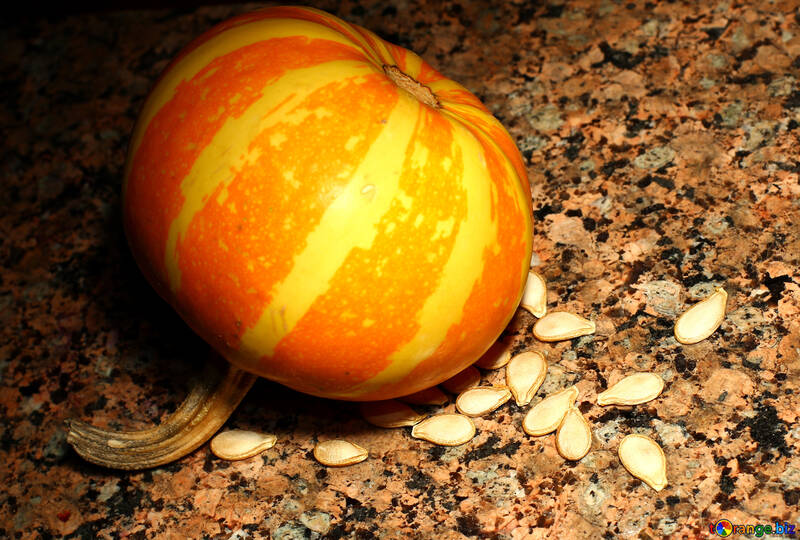 Pumpkin with sunflower seeds №36060