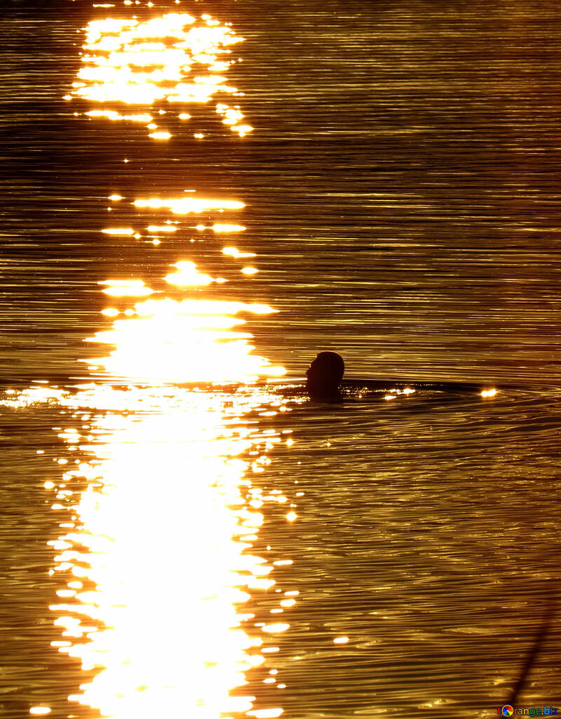 Bathing at sunset №36412
