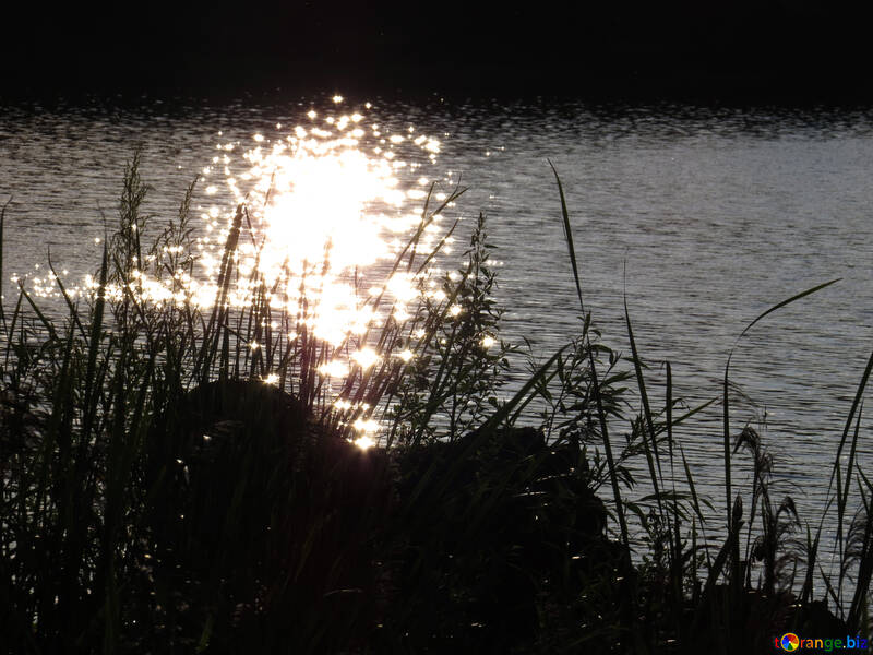Die Reflexionen der Sonne im Fluss №36456