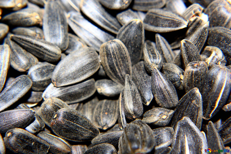 Seeds №36230