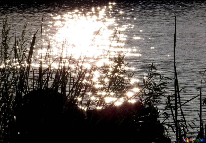 Die Sonne spiegelt sich im Wasser №36457