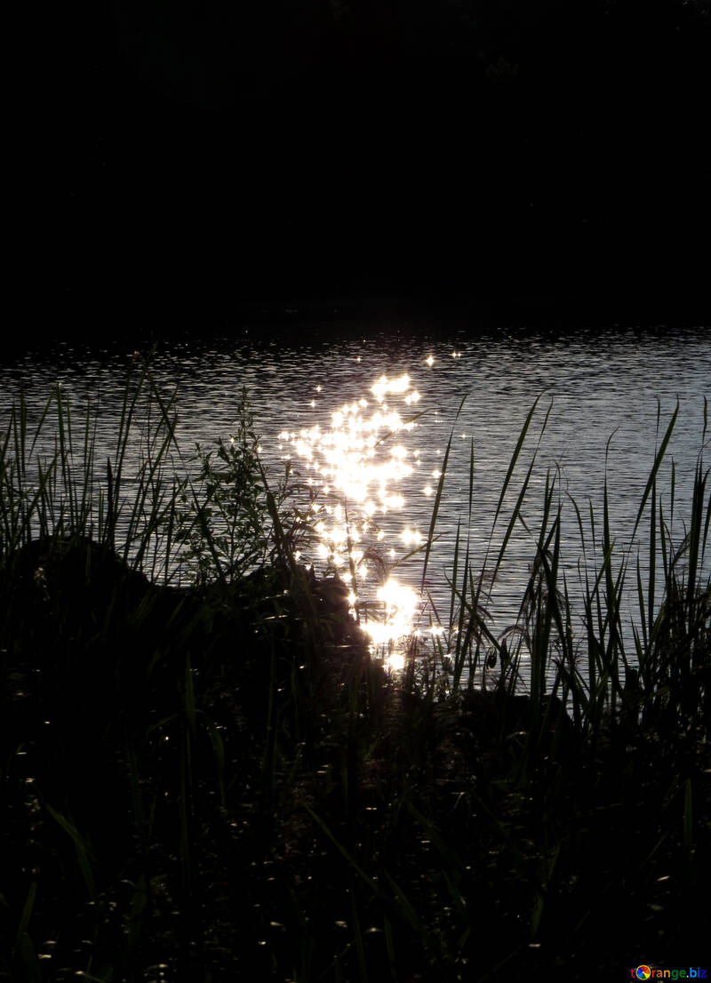 Track flare on the water №36463