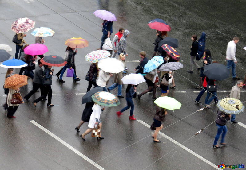 Pedestres sob guarda-chuvas №36188