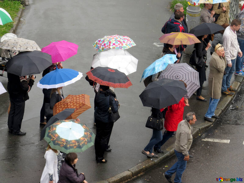 Pedestrians under umbrellas №36190