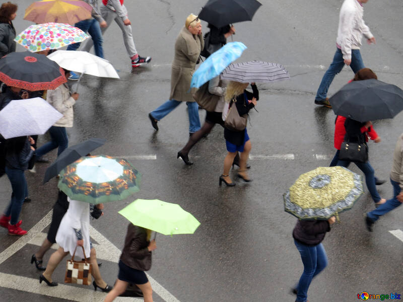 Les gens marchent sous les parapluies №36189
