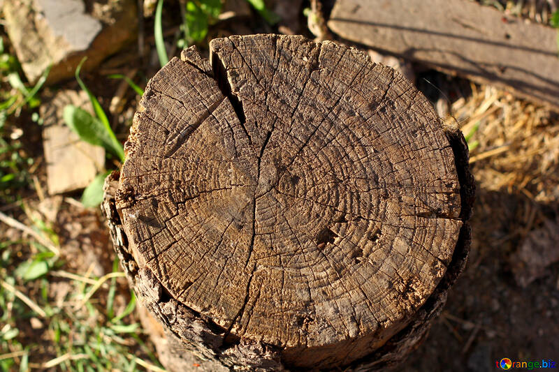 Turned cut wood №36890