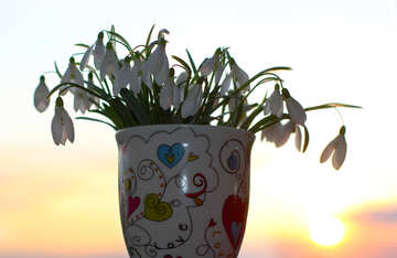 Primavera ramitos bouquet en taza №37969
