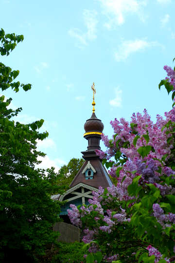 The church amid the bushes of lilac №37591
