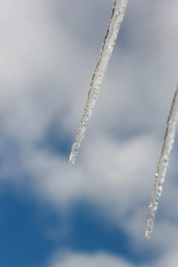 Icicles on the sky background №37160