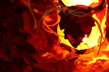 Autumn evening burning candles №37955