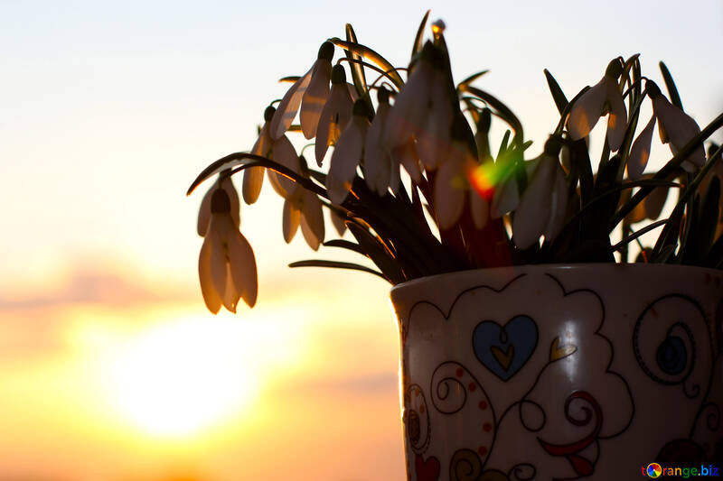 Ein Strauß Frühlingsblumen bei Sonnenuntergang №37982