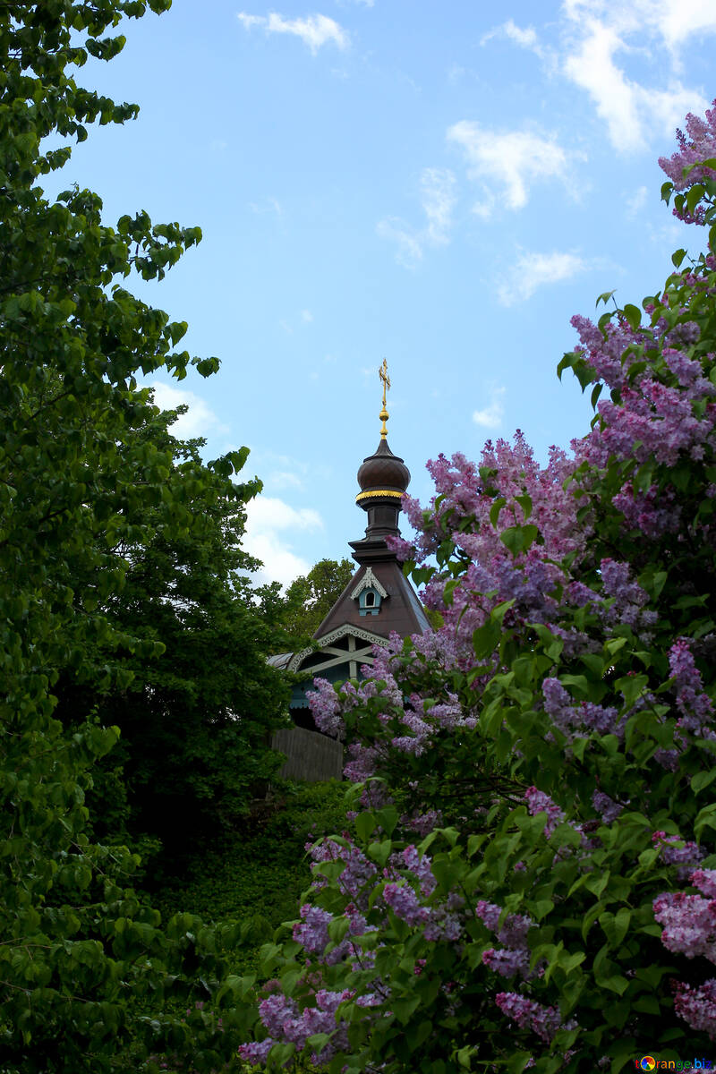 Church in thickets of lilac №37592