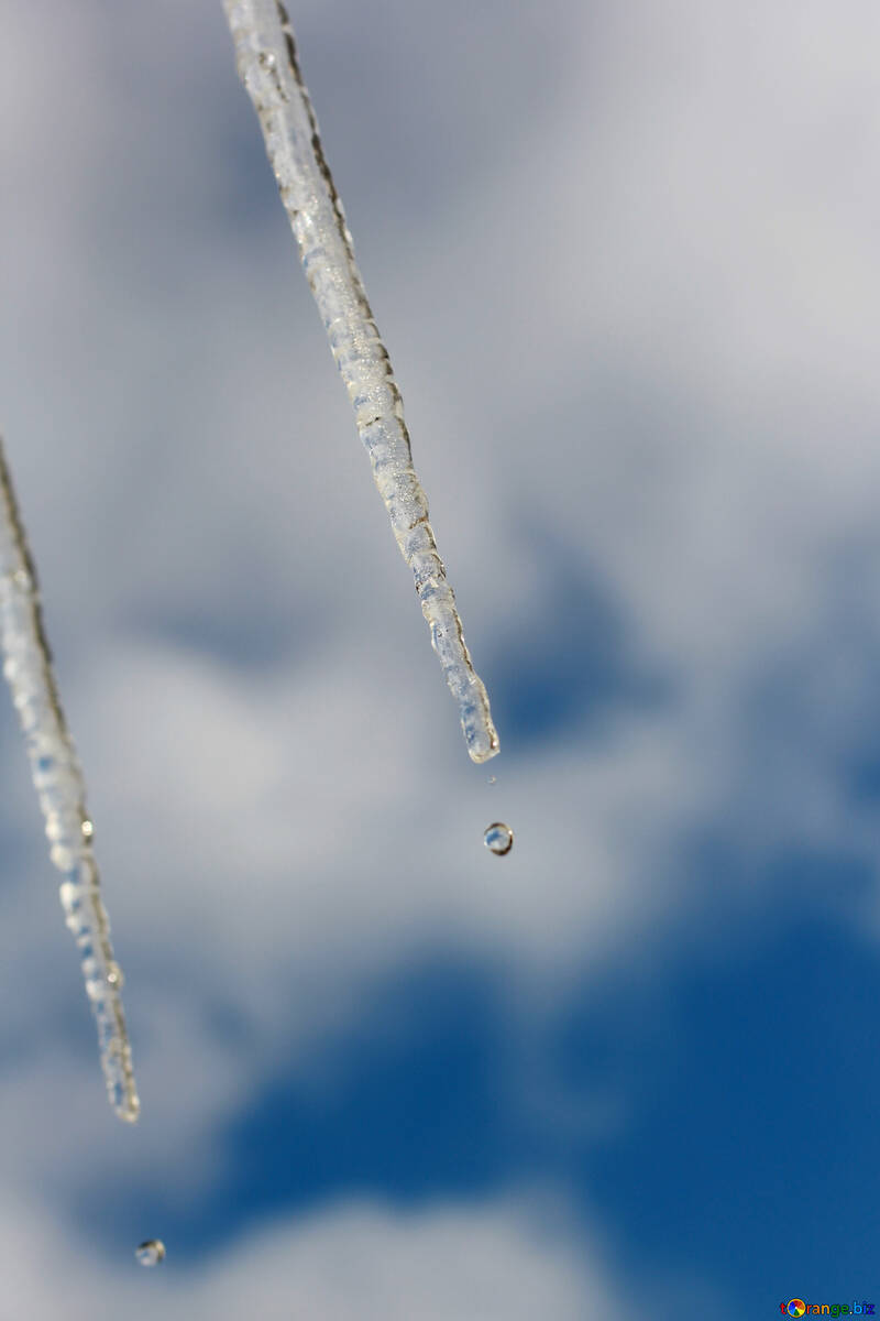 A drop of icicles №37159