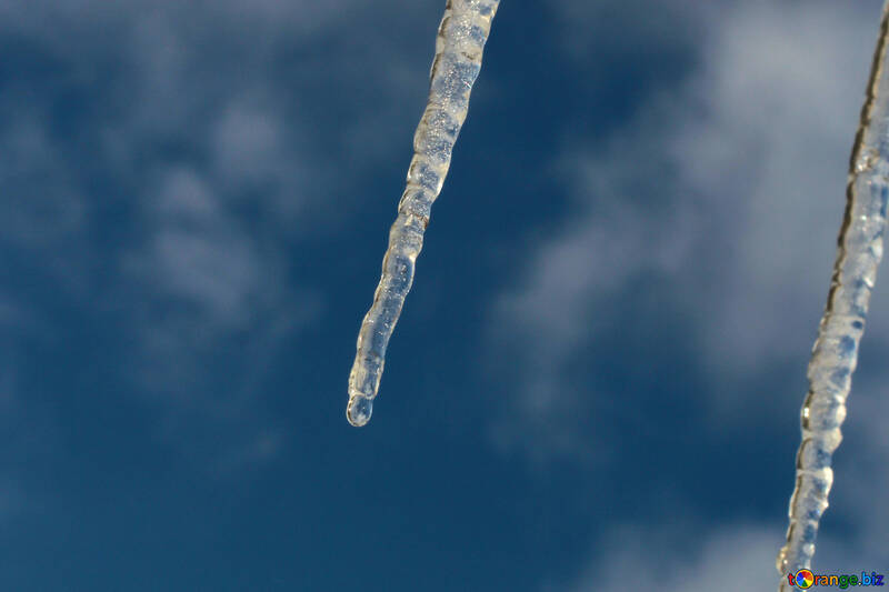 Frozen icicles №37157