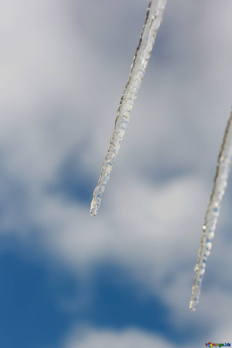 Icicles on the sky background №37160