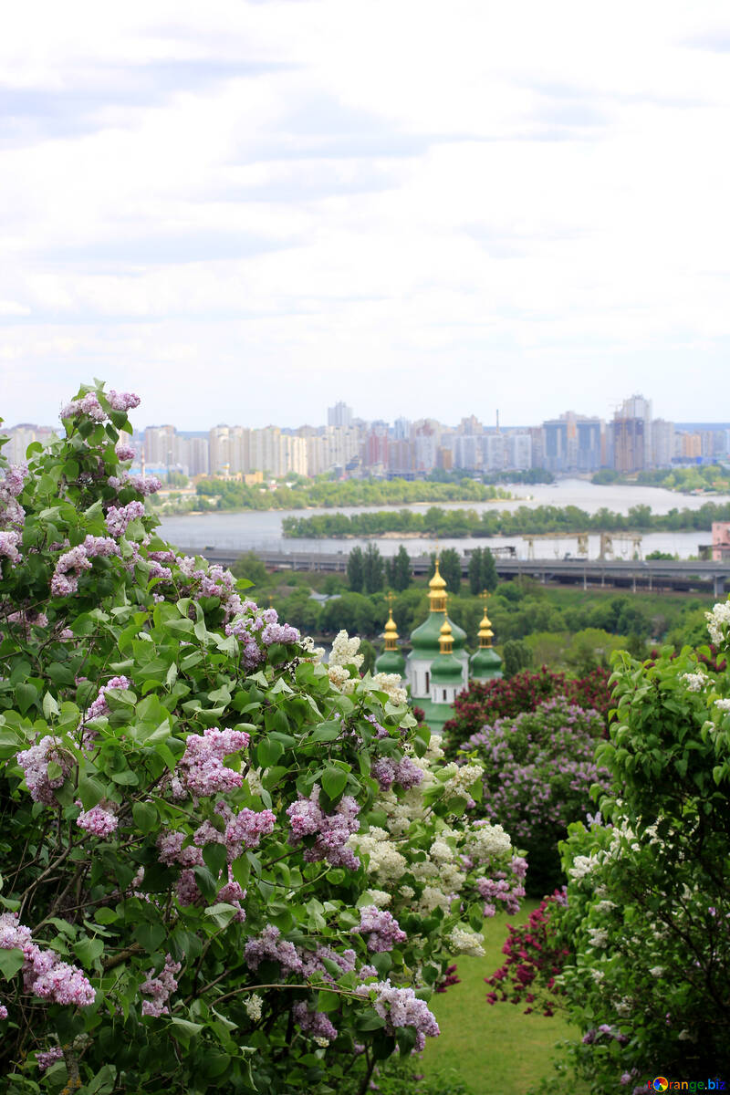 Panorama di Kiev lilla №37369