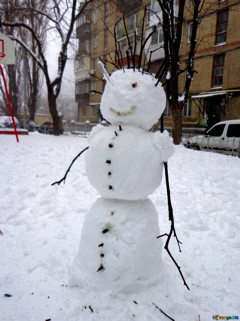 Snowman №37162