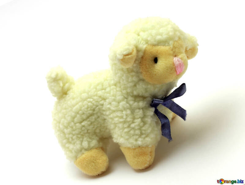 The sheep №37153