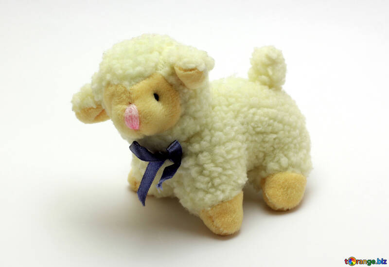Toy little sheep №37154