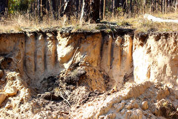 Mineração ilegal de areia №38506