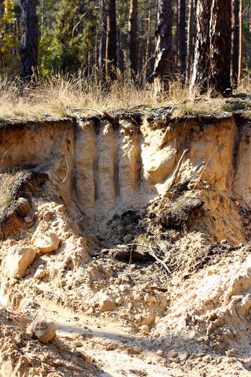Mineração de areia na floresta №38505