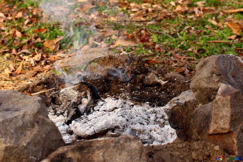 Coals in the fire №38607