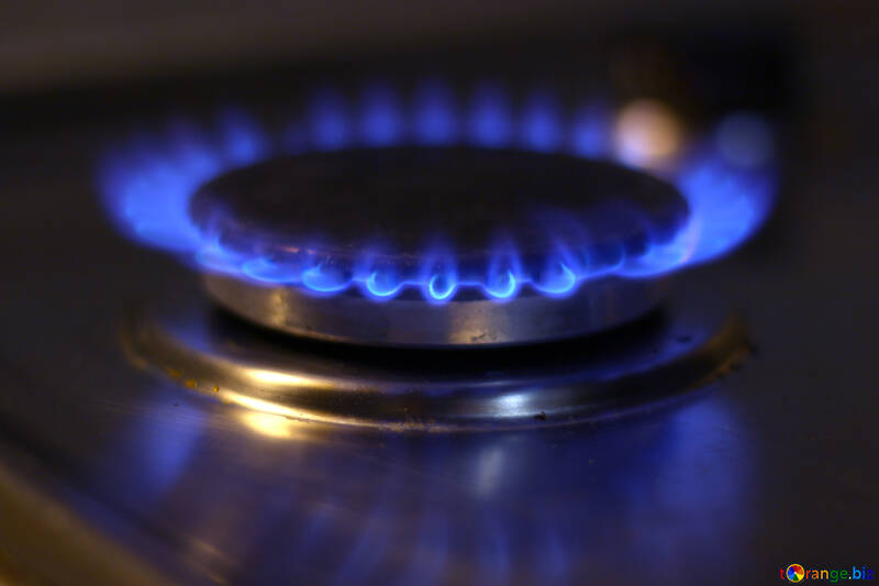 Gas in the House №38485
