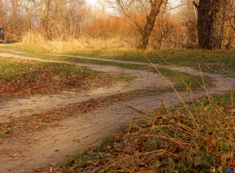 Dirt road in autumn №38632