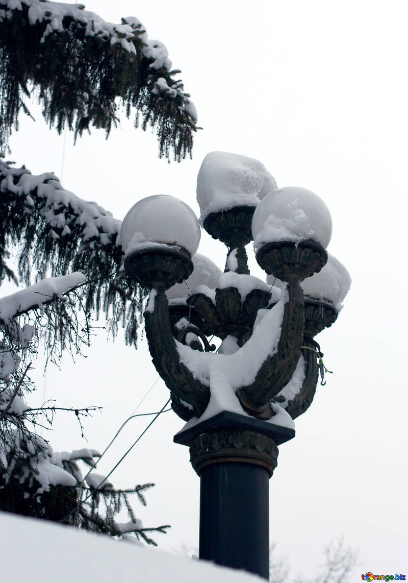 Lanterne sous la neige №38972