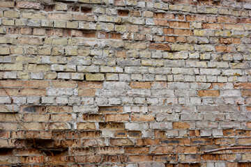 Текстура цегляна зруйнована стіна №39048