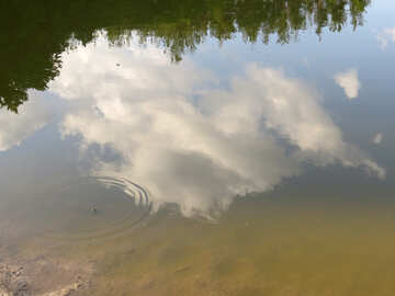 Отражение неба в воде №39240