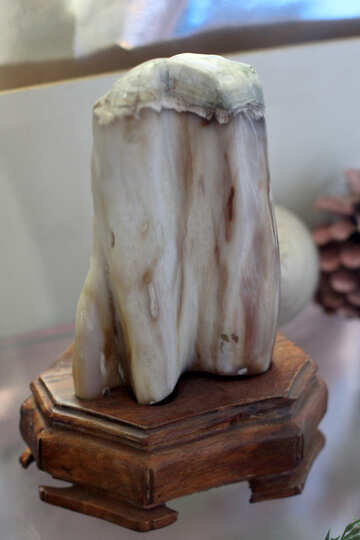 Mammoth tooth №39367