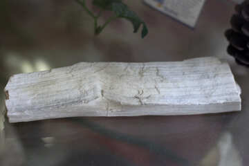 Stone Wood №39364