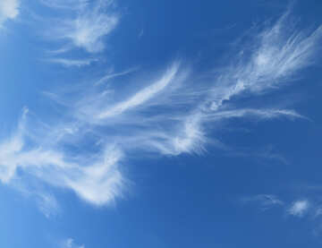 Красивое небо с облаком №39249