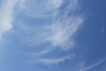 Blue Sky №39307