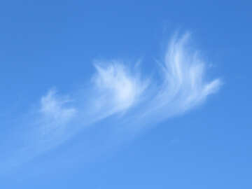 Three clouds №39254