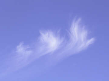 Nube blanca №39253