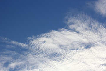 Nubes en el cielo №39282